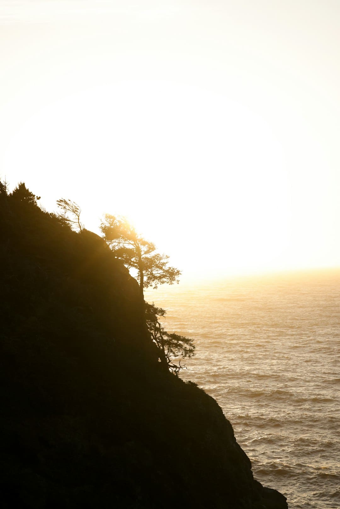 http://www.kcrea.cc/skin/default/image/zoomin.gif